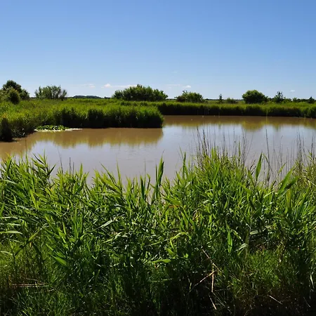 Dom wakacyjny Haus Ruhewinkel, 2